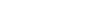 Omnidex Castings logo for web W 01 1 die cast,die casting temperature,die casting alloy,die cast product